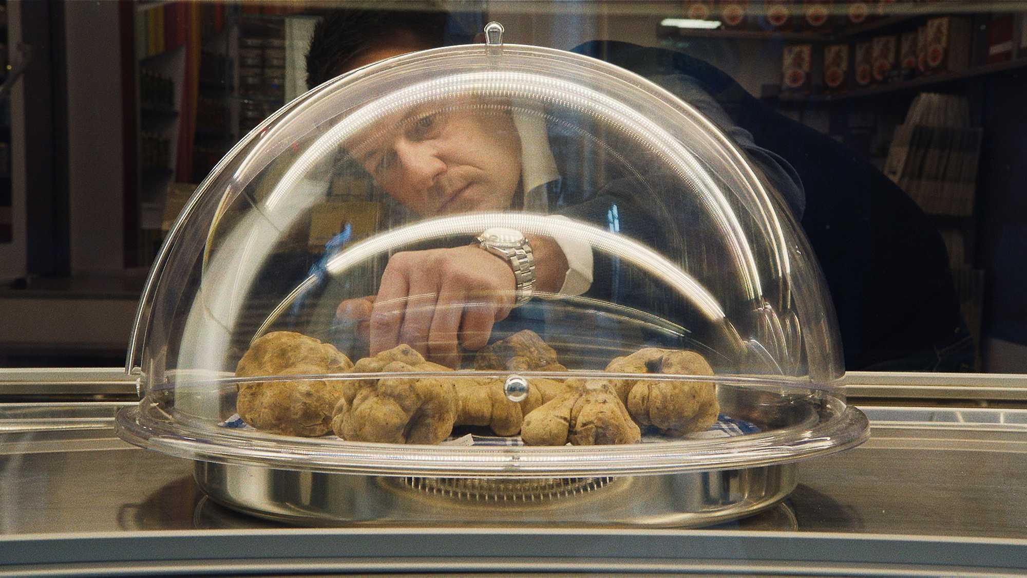 The Truffle Hunters • New Zealand International Film Festival